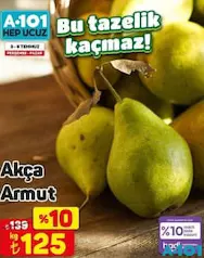 AKÇA ARMUT KG fiyat ve kampanya bilgisi